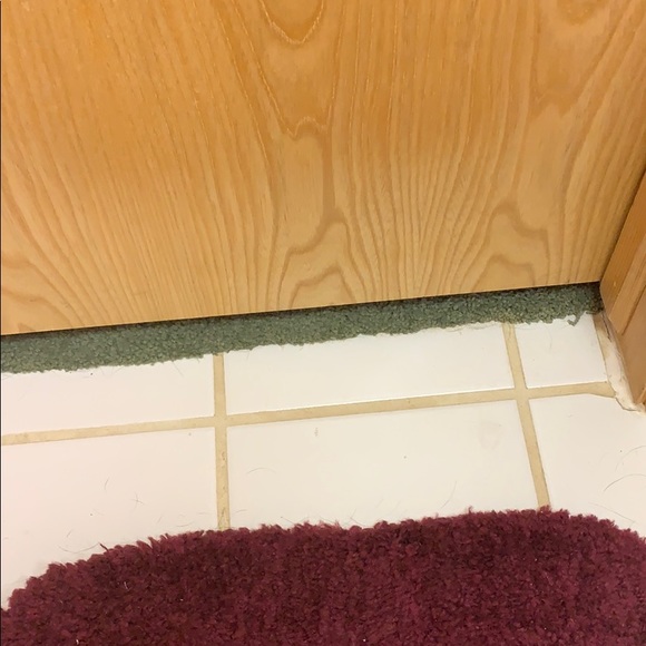 Meet your Posher, Tamira - Picture 1 of 1